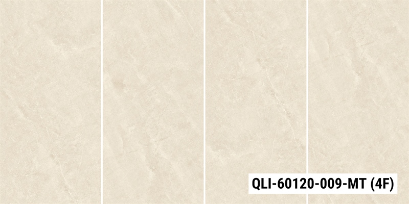 QLI-60120-009-MT